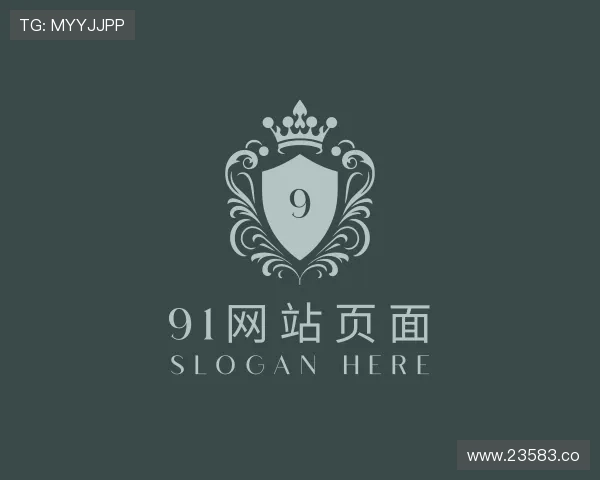 推介91网站页面